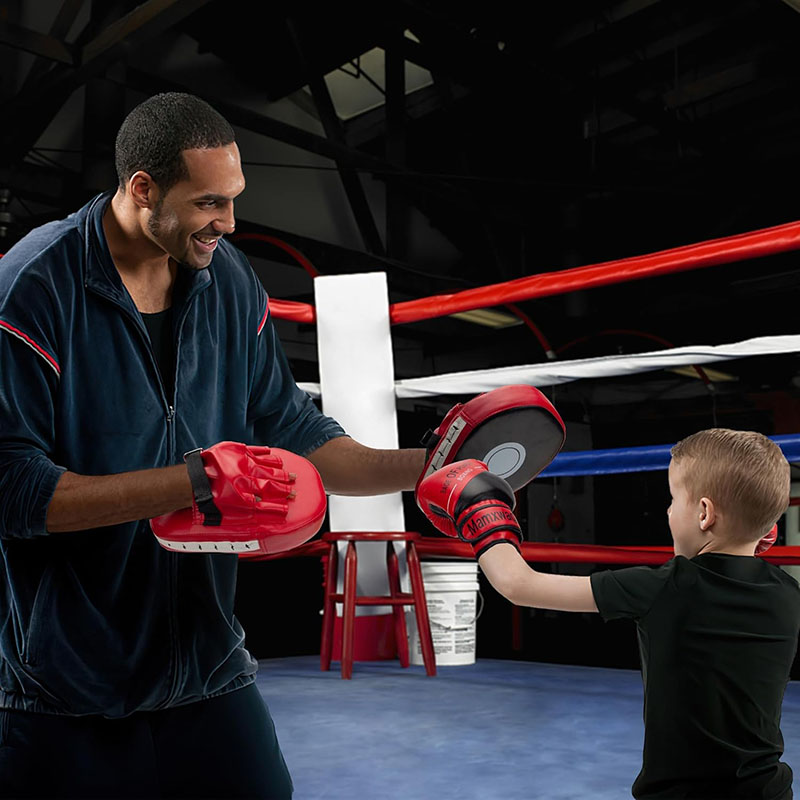 3-in-1 Boxing Gloves and Punch - Boxing Glove Set avaliação e preço